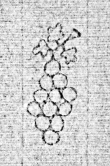 Wasserzeichen DE0960-RiesF23N_6