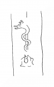 DE8100-CodTheol241_324 - Typ:0 - ID: 142539 - Eintrag Nr.: 15 Wasserzeichen DE8100-CodTheol241_324