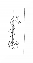 Wasserzeichen DE8100-CodTheol241_325