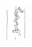 DE8100-CodTheol241_305 - Typ:0 - ID: 142872 - Eintrag Nr.: 21 Wasserzeichen DE8100-CodTheol241_305