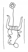 DE1935-Mscr.Dresd.M.26_284 - Typ:0 - ID: 142919 - Eintrag Nr.: 7 Wasserzeichen DE1935-Mscr.Dresd.M.26_284