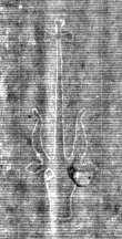 Wasserzeichen DE3270-histnat88_205