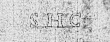 DE0960-BachP379_34a - Typ:0 - ID: 143097 - Eintrag Nr.: 11 Wasserzeichen DE0960-BachP379_34a