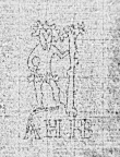 DE0960-Telemann70_8r - Typ:0 - ID: 143287 - Eintrag Nr.: 6 Wasserzeichen DE0960-Telemann70_8r