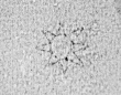 DE0960-BachP359_63 - Typ:0 - ID: 143450 - Eintrag Nr.: 18 Wasserzeichen DE0960-BachP359_63
