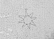 DE0960-BachP359_95 - Typ:0 - ID: 143455 - Eintrag Nr.: 19 Wasserzeichen DE0960-BachP359_95