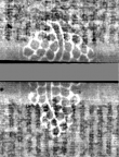 Wasserzeichen DE3270-theol200_242