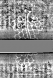 Wasserzeichen DE3270-theol200_280