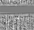DE3270-theol200_111 - Typ:0 - ID: 143710 - Eintrag Nr.: 37 Wasserzeichen DE3270-theol200_111