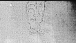 Wasserzeichen DE0960-BeethovenAutograph30_128