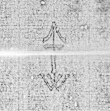 Wasserzeichen DE0960-ErlebachPH1_4