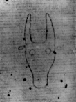DE5580-Clm27040_270 - Typ:0 - ID: 144373 - Eintrag Nr.: 3 Wasserzeichen DE5580-Clm27040_270