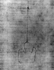 DE5580-Clm27042_163 - Typ:0 - ID: 144382 - Eintrag Nr.: 186 Wasserzeichen DE5580-Clm27042_163