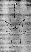DE5580-Clm6716_7 - Typ:0 - ID: 144536 - Eintrag Nr.: 74 Wasserzeichen DE5580-Clm6716_7