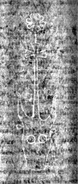 DE3270-philos21_184 - Typ:0 - ID: 144564 - Eintrag Nr.: 96 Wasserzeichen DE3270-philos21_184