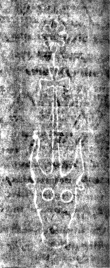 DE3270-philos21_188 - Typ:0 - ID: 144565 - Eintrag Nr.: 97 Wasserzeichen DE3270-philos21_188