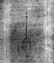 DE5580-Clm6566_111 - Typ:0 - ID: 144741 - Eintrag Nr.: 188 Wasserzeichen DE5580-Clm6566_111
