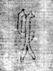 DE5580-Clm6694_128 - Typ:0 - ID: 144771 - Eintrag Nr.: 219 Wasserzeichen DE5580-Clm6694_128