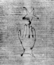 DE5580-Clm6502_184 - Typ:0 - ID: 145102 - Eintrag Nr.: 19 Wasserzeichen DE5580-Clm6502_184
