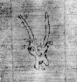DE5580-Clm6606_270 - Typ:0 - ID: 145155 - Eintrag Nr.: 127 Wasserzeichen DE5580-Clm6606_270