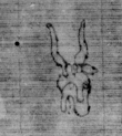 DE5580-Clm6488_3 - Typ:0 - ID: 145213 - Eintrag Nr.: 62 Wasserzeichen DE5580-Clm6488_3