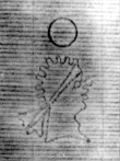 DE5580-Clm97_123 - Typ:0 - ID: 145271 - Eintrag Nr.: 15 Wasserzeichen DE5580-Clm97_123