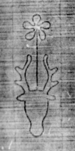 DE5580-Clm6498_132 - Typ:0 - ID: 145321 - Eintrag Nr.: 9 Wasserzeichen DE5580-Clm6498_132