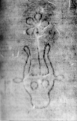 DE5580-Clm6498_136 - Typ:0 - ID: 145322 - Eintrag Nr.: 8 Wasserzeichen DE5580-Clm6498_136