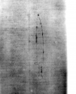DE5580-Clm6509_125 - Typ:0 - ID: 145349 - Eintrag Nr.: 153 Wasserzeichen DE5580-Clm6509_125