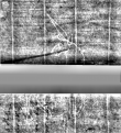 Wasserzeichen DE3270-theol147_I