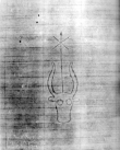 DE5580-Clm6686_372 - Typ:0 - ID: 145391 - Eintrag Nr.: 1 Wasserzeichen DE5580-Clm6686_372