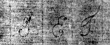 DE5580-Musms274aCantus_XVI - Typ:0 - ID: 145695 - Eintrag Nr.: 2 Wasserzeichen DE5580-Musms274aCantus_XVI