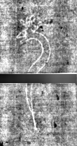 DE3270-histnat51_316 - Typ:0 - ID: 145737 - Eintrag Nr.: 195 Wasserzeichen DE3270-histnat51_316