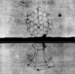 DE5580-Musms1503bAltus_13 - Typ:0 - ID: 145900 - Eintrag Nr.: 77 Wasserzeichen DE5580-Musms1503bAltus_13