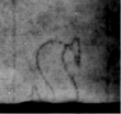 DE5580-Musms1503bBassus_I* - Typ:0 - ID: 145906 - Eintrag Nr.: 4 Wasserzeichen DE5580-Musms1503bBassus_I*