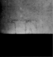 DE5580-Musms1503hTenor_I* - Typ:0 - ID: 145964 - Eintrag Nr.: 6 Wasserzeichen DE5580-Musms1503hTenor_I*