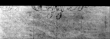 DE5580-Musms1536Tenor_III - Typ:0 - ID: 146038 - Eintrag Nr.: 7 Wasserzeichen DE5580-Musms1536Tenor_III
