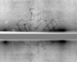 DE5580-Musms1538Tenor_41 - Typ:0 - ID: 146074 - Eintrag Nr.: 2 Wasserzeichen DE5580-Musms1538Tenor_41