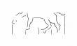 DE8100-CodTheol276_Bd.18_IV - Typ:0 - ID: 146216 - Eintrag Nr.: 31 Wasserzeichen DE8100-CodTheol276_Bd.18_IV