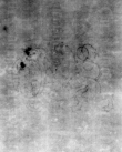 DE5580-Musms55_135 - Typ:0 - ID: 146783 - Eintrag Nr.: 34 Wasserzeichen DE5580-Musms55_135