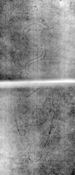 DE5580-Clm24506_59 - Typ:0 - ID: 146824 - Eintrag Nr.: 171 Wasserzeichen DE5580-Clm24506_59