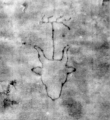 DE5580-Clm29775(1_3 - Typ:0 - ID: 146843 - Eintrag Nr.: 235 Wasserzeichen DE5580-Clm29775(1_3