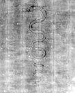 DE5580-Musms72_68 - Typ:0 - ID: 146889 - Eintrag Nr.: 67 Wasserzeichen DE5580-Musms72_68