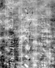 DE5580-Musms63_21 - Typ:0 - ID: 147237 - Eintrag Nr.: 68 Wasserzeichen DE5580-Musms63_21