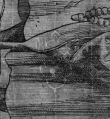Wasserzeichen DE1675-Cranach-I4238