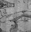 Wasserzeichen DE1675-Cranach-I45108