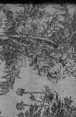 Wasserzeichen DE1675-Cranach-I45109