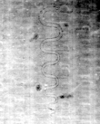 DE5580-Musms73_40 - Typ:0 - ID: 147676 - Eintrag Nr.: 69 Wasserzeichen DE5580-Musms73_40