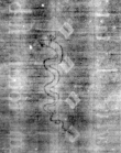DE5580-Musms73_93 - Typ:0 - ID: 147681 - Eintrag Nr.: 70 Wasserzeichen DE5580-Musms73_93
