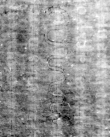 DE5580-Musms74_3 - Typ:0 - ID: 147691 - Eintrag Nr.: 72 Wasserzeichen DE5580-Musms74_3